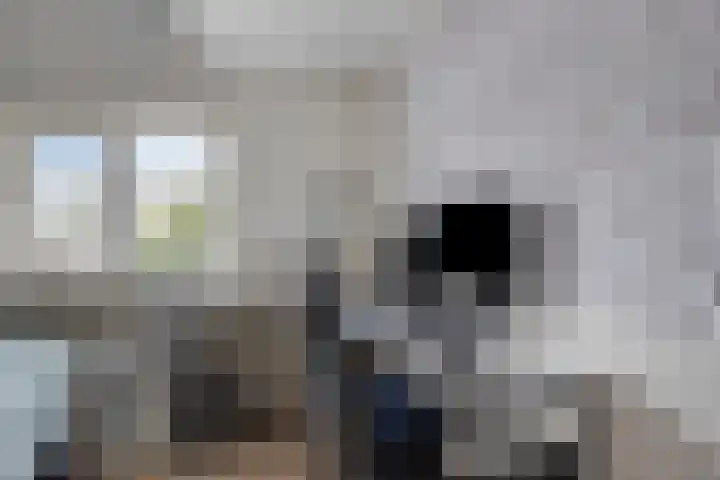 Steensedijk 76 Hulst thumbnail 18
