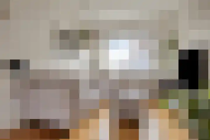 Steensedijk 76 Hulst thumbnail 8