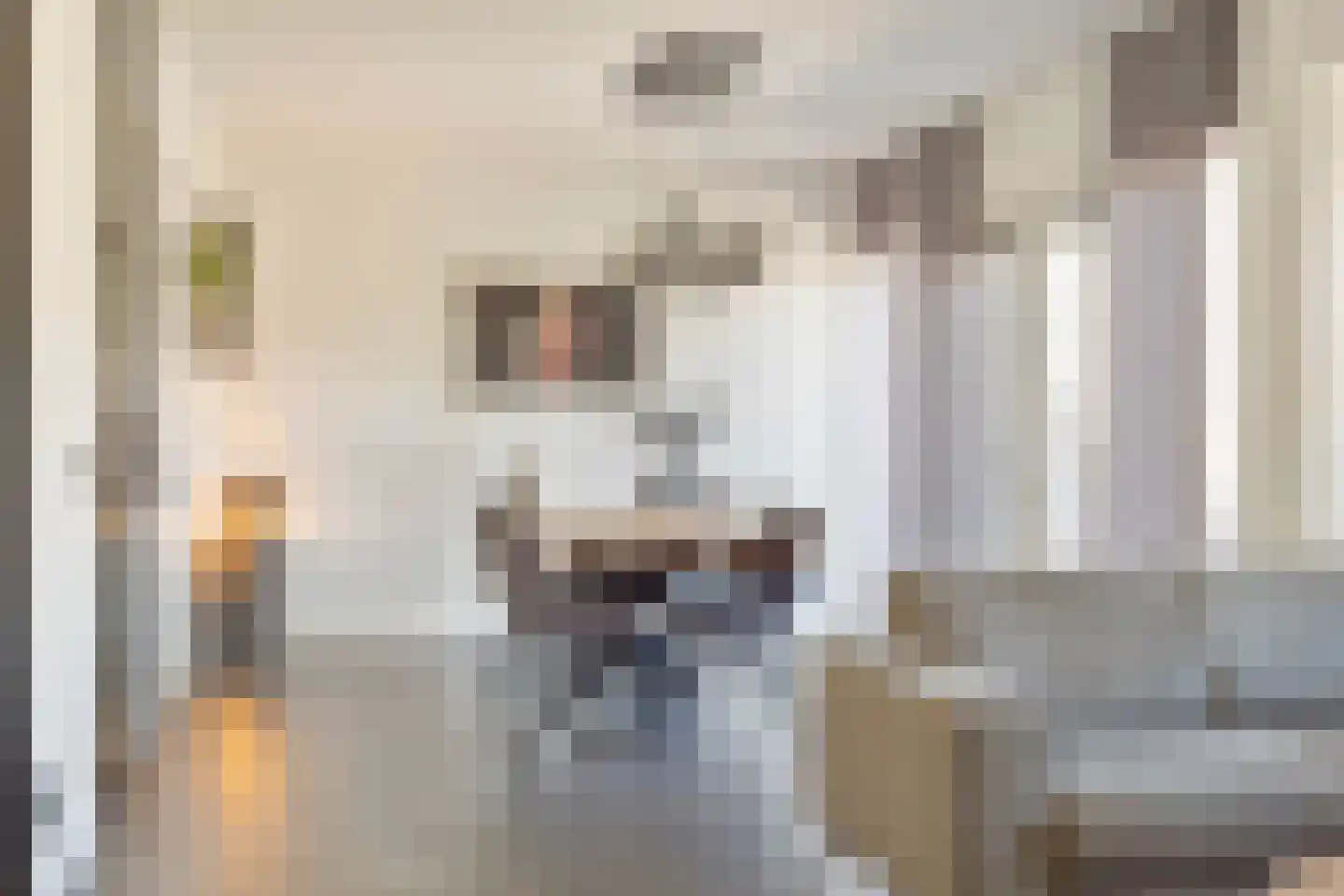 Steenselerf 3 Tilburg thumbnail 13