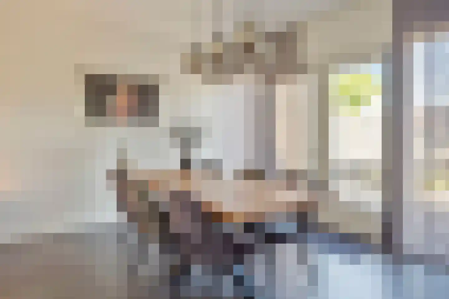 Steenselerf 3 Tilburg thumbnail 15