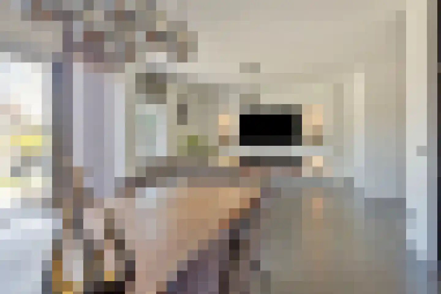Steenselerf 3 Tilburg thumbnail 16