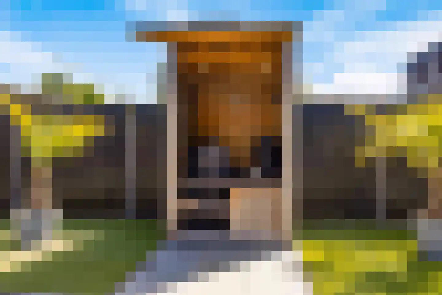 Steenselerf 3 Tilburg thumbnail 38