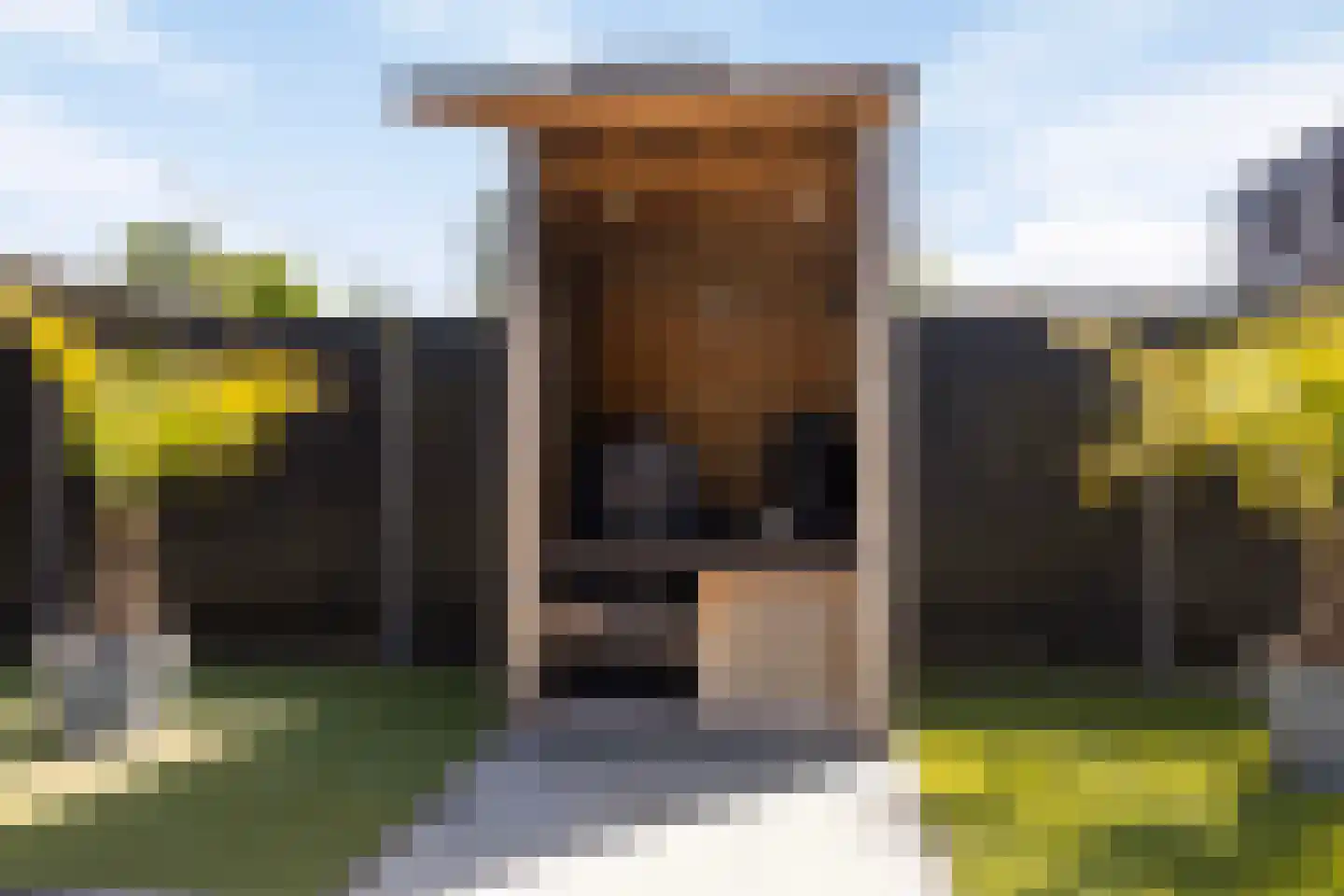 Steenselerf 3 Tilburg thumbnail 41