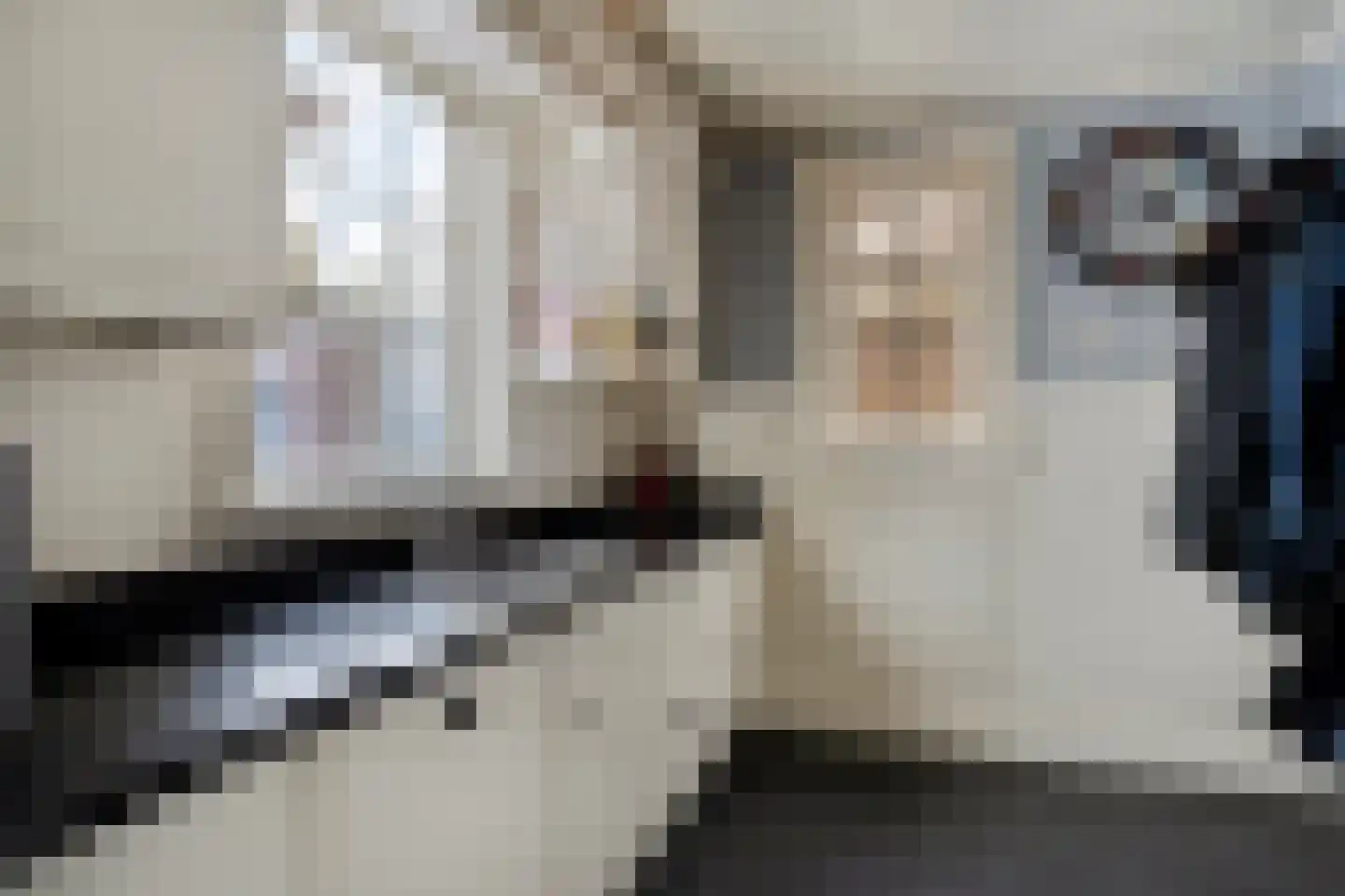 Steenselseweg 15 Knegsel thumbnail 10