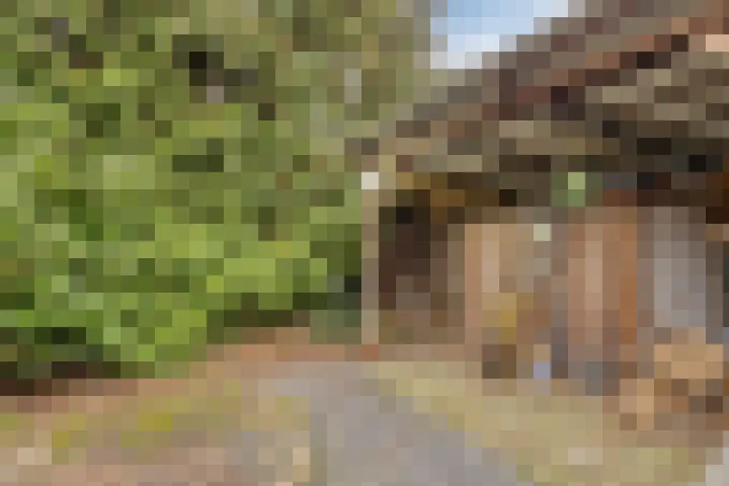 Steenselseweg 15 Knegsel thumbnail 32