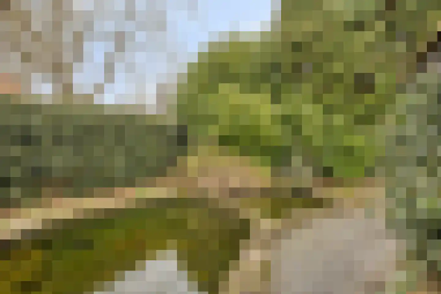 Steenselseweg 15 Knegsel thumbnail 32