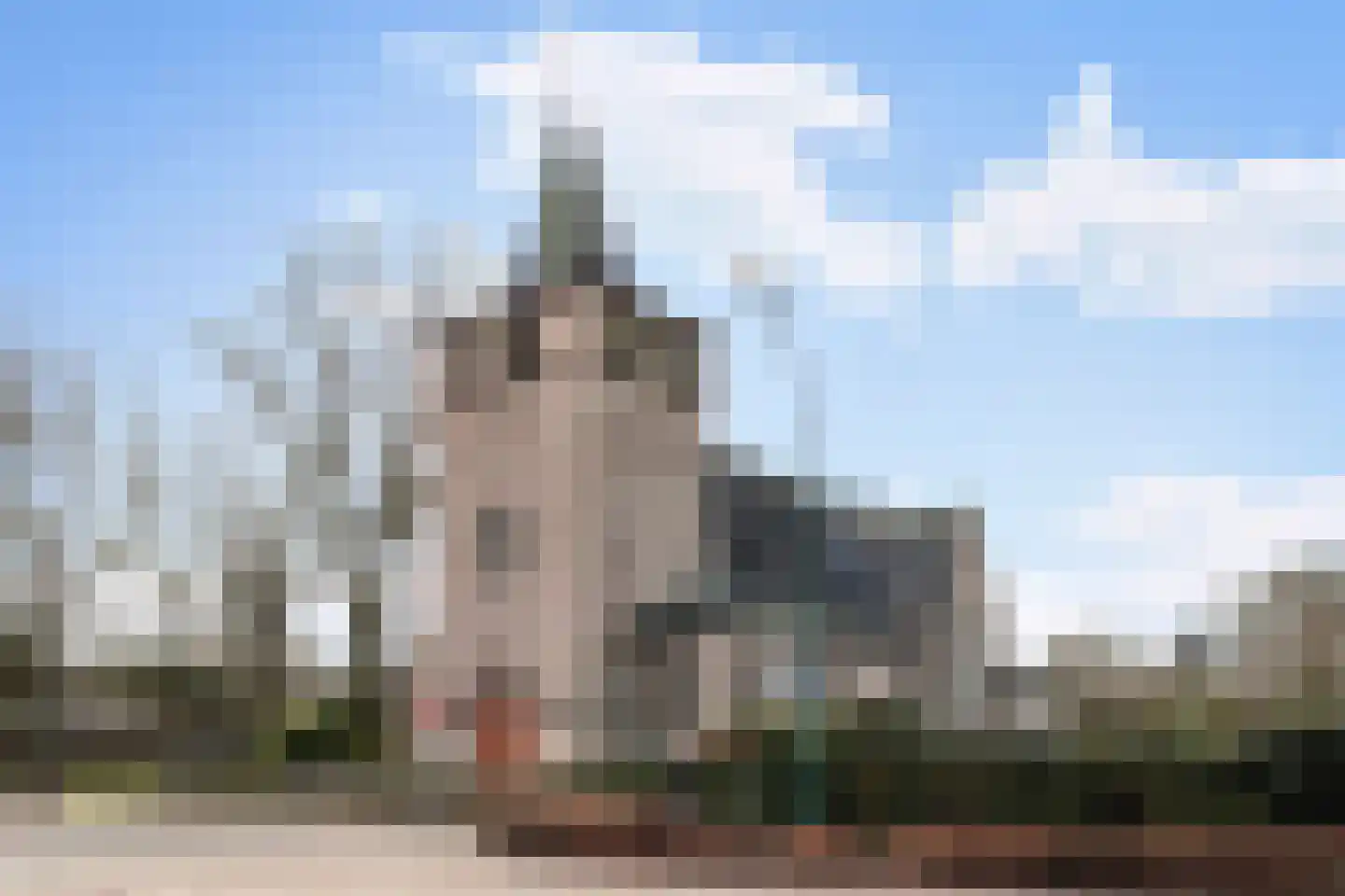 Steenselseweg 15 Knegsel thumbnail 36