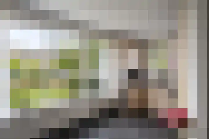 Steenspil 1 Wieringerwaard thumbnail 12