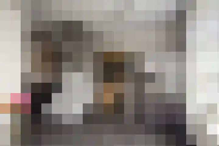 Steenspil 1 Wieringerwaard thumbnail 13