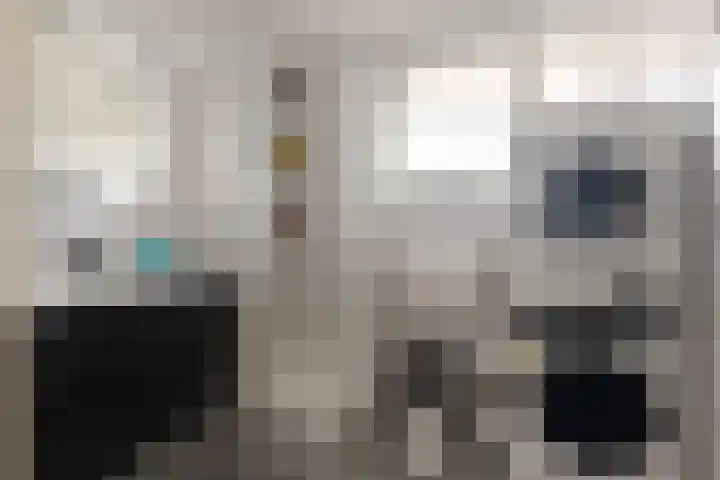 Steenspil 1 Wieringerwaard thumbnail 20