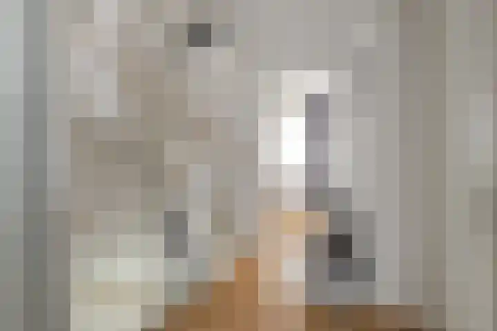 Steenspil 1 Wieringerwaard thumbnail 22