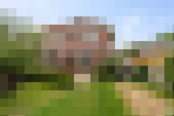 Steenspil 1 Wieringerwaard thumbnail 24