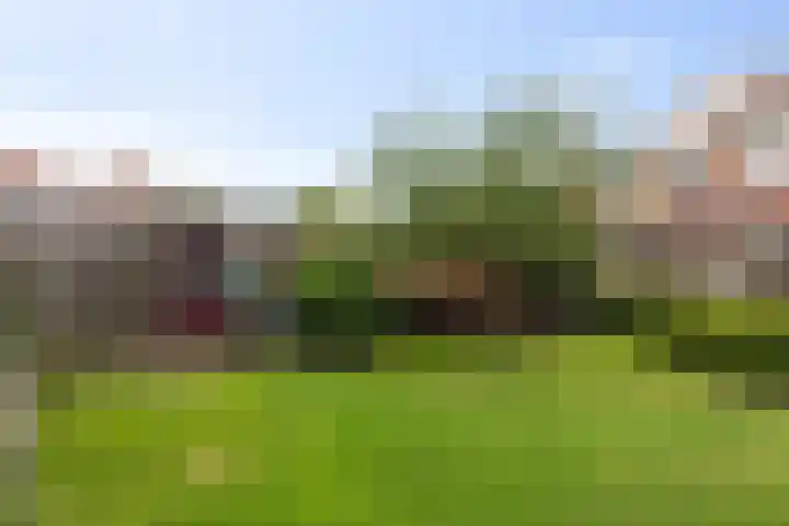 Steenspil 1 Wieringerwaard thumbnail 25