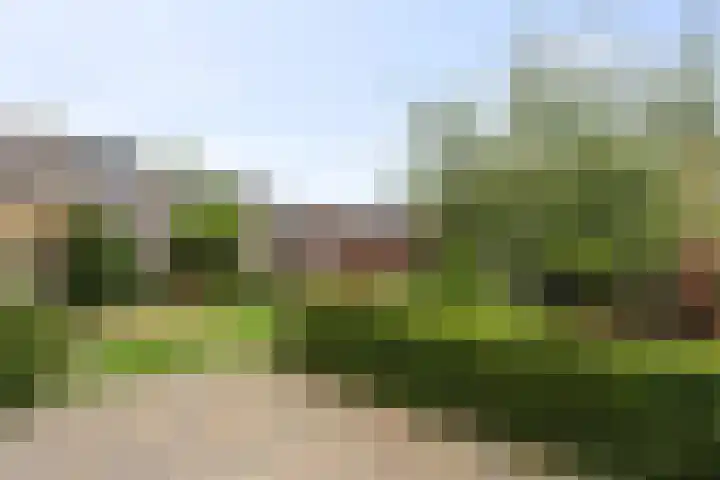 Steenspil 1 Wieringerwaard thumbnail 26