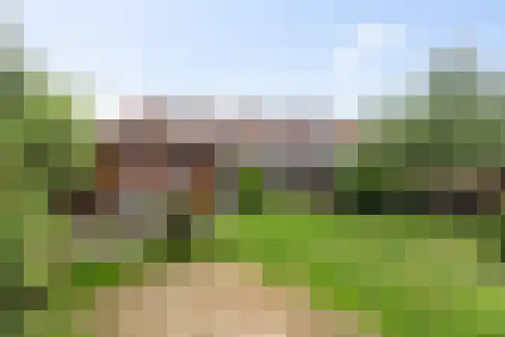 Steenspil 1 Wieringerwaard thumbnail 4