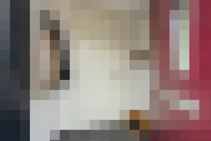 Steenspil 1 Wieringerwaard thumbnail 5