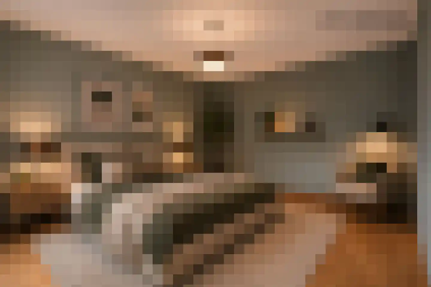 Steenspil 10 Weert thumbnail 21