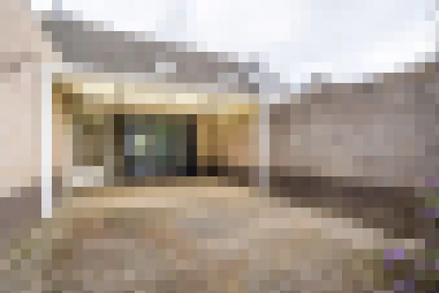 Steenspil 10 Weert thumbnail 47