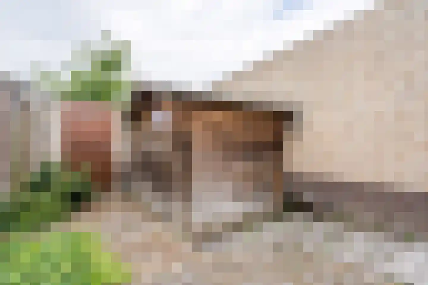 Steenspil 10 Weert thumbnail 49