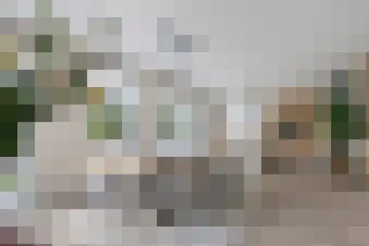 Steenspil 8 Geldermalsen thumbnail 14