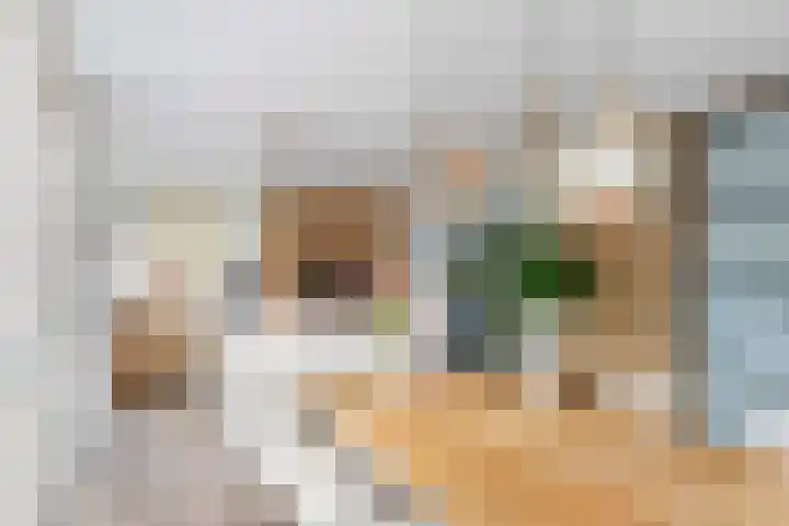 Steenspil 8 Geldermalsen thumbnail 15