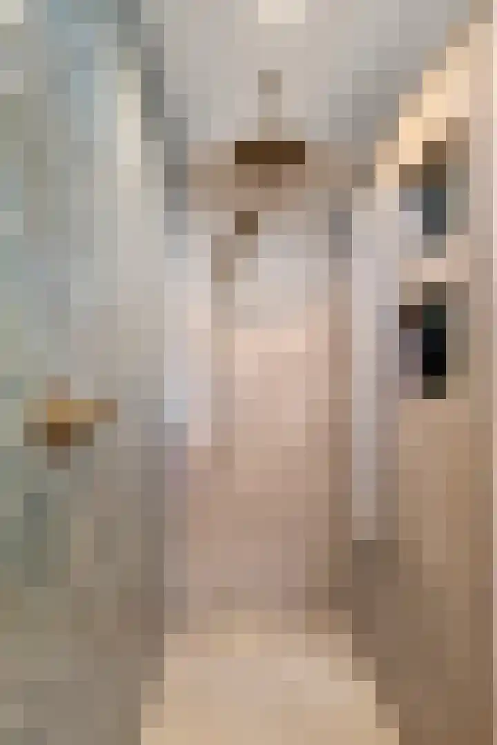 Steenspil 8 Geldermalsen thumbnail 27