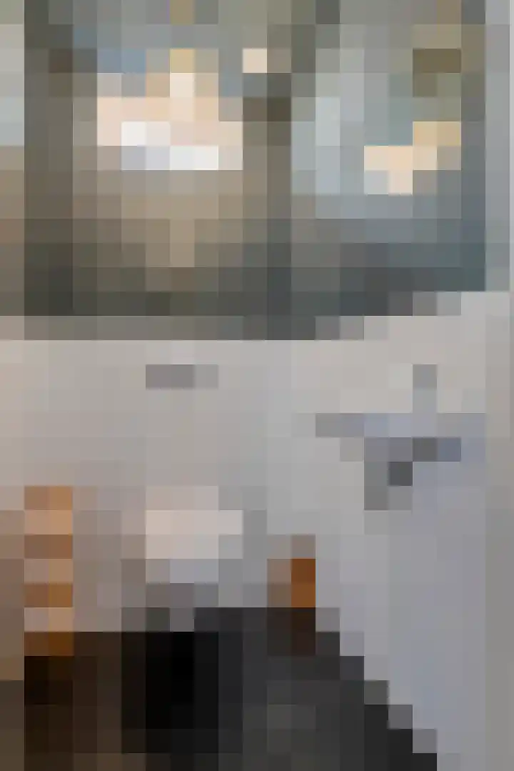 Steenspil 8 Geldermalsen thumbnail 30