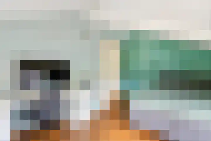 Steenspil 8 Geldermalsen thumbnail 32