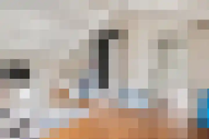 Steenspil 8 Geldermalsen thumbnail 35
