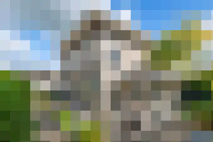 Steenspil 8 Geldermalsen thumbnail 38
