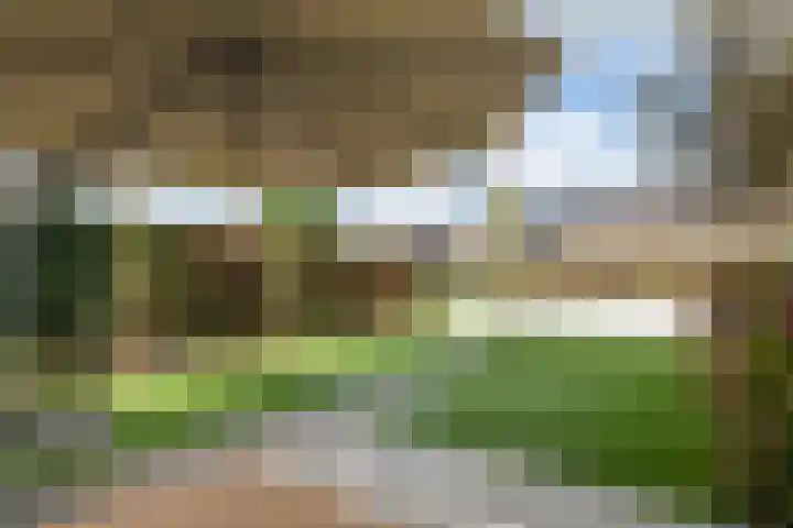 Steenspil 8 Geldermalsen thumbnail 41