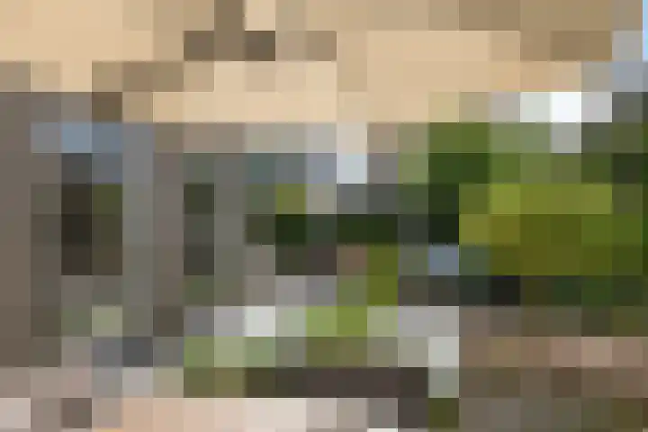 Steenspil 8 Geldermalsen thumbnail 45