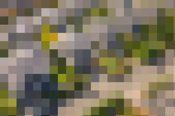 Steenspil 8 Geldermalsen thumbnail 49