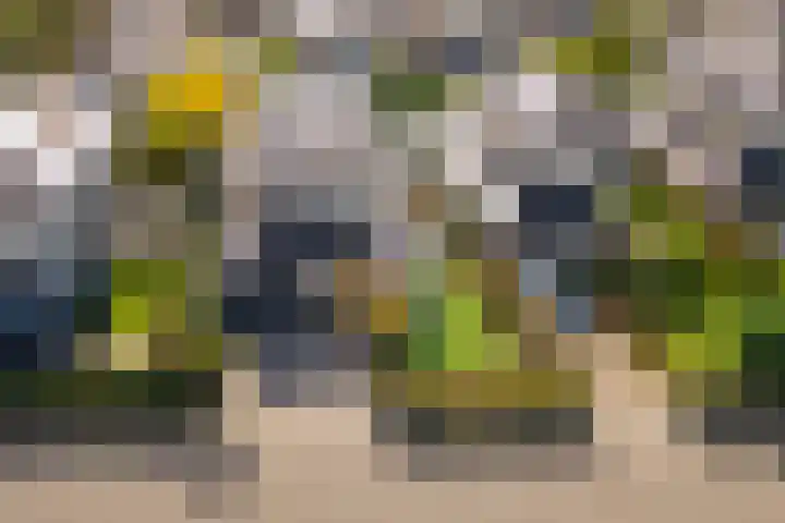 Steenspil 8 Geldermalsen thumbnail 50