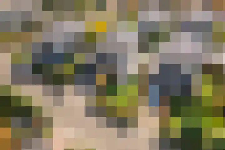Steenspil 8 Geldermalsen thumbnail 51
