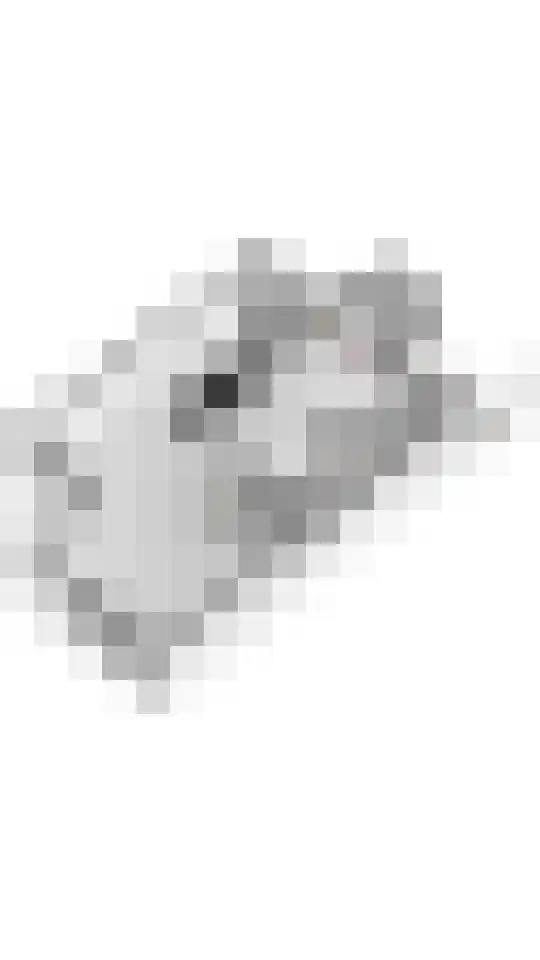 Steenspil 8 Geldermalsen thumbnail 54