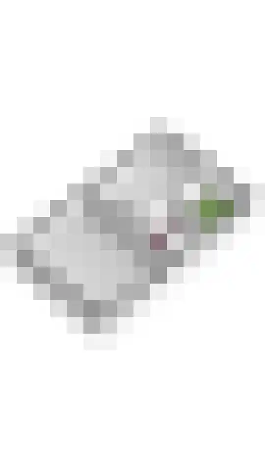 Steenspil 8 Geldermalsen thumbnail 58
