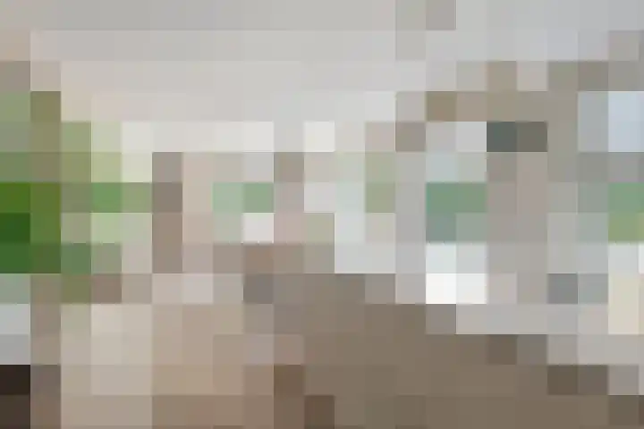 Steenspil 8 Geldermalsen thumbnail 6