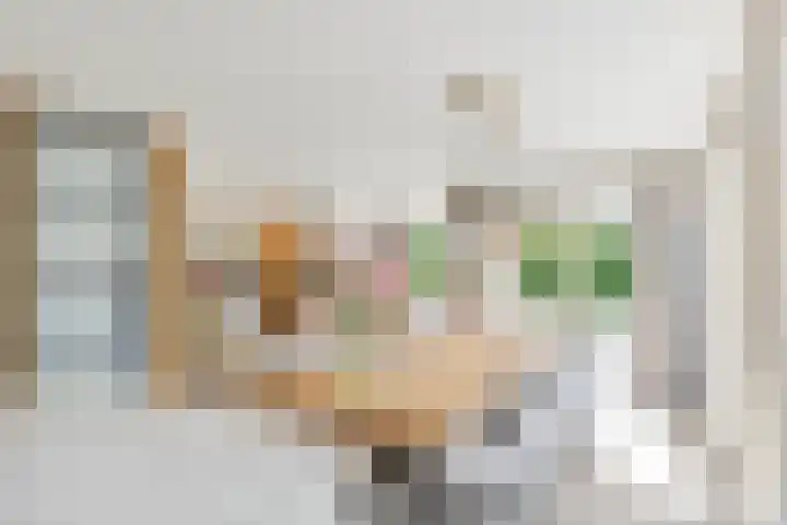Steenspil 8 Geldermalsen thumbnail 8