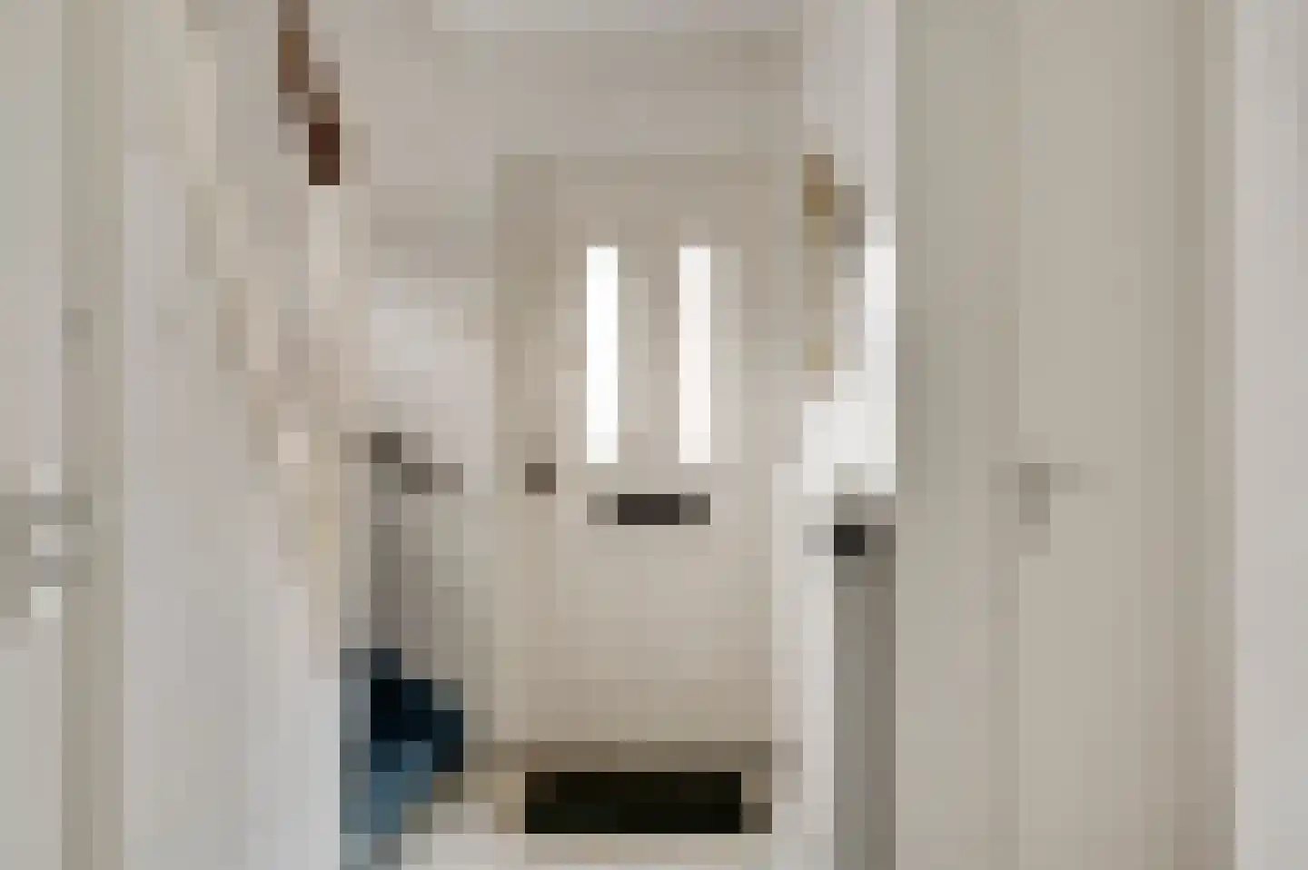 Steenstraat 1 Spaubeek thumbnail 20