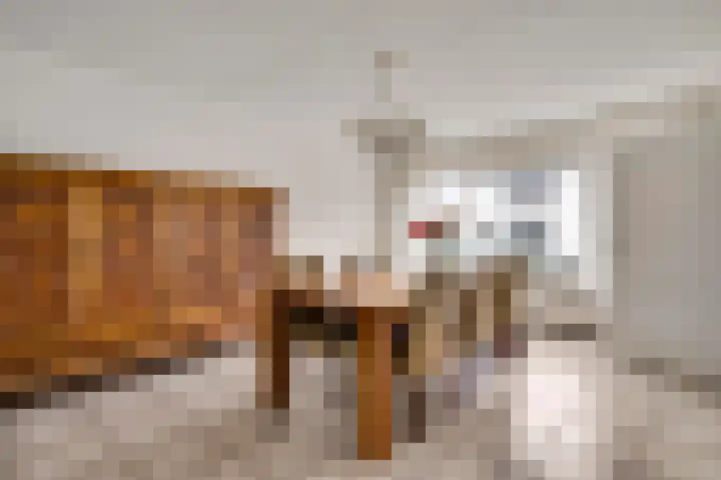 Steenstraat 1 Spaubeek thumbnail 7