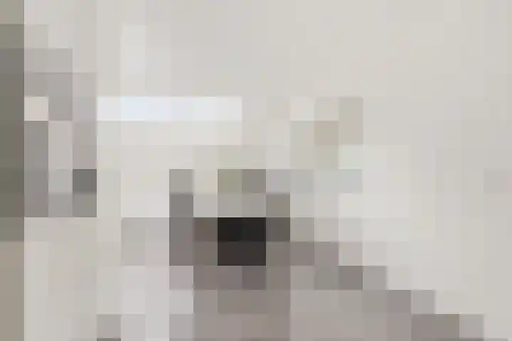 Steenstraat 10 Didam thumbnail 11