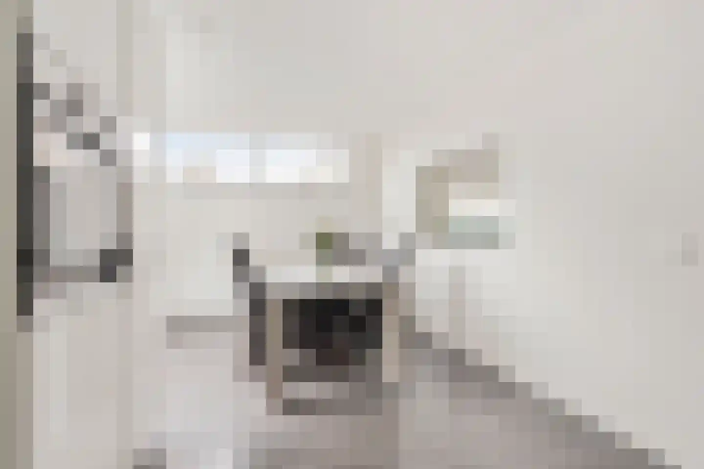 Steenstraat 10 Didam thumbnail 11