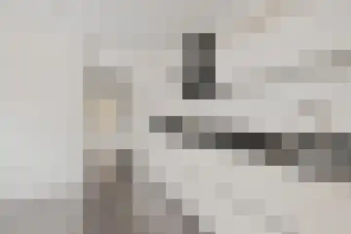 Steenstraat 10 Didam thumbnail 12