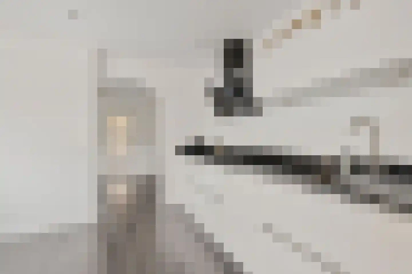 Steenstraat 10 Didam thumbnail 12