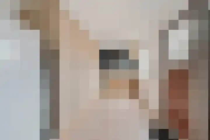 Steenstraat 10 Didam thumbnail 13