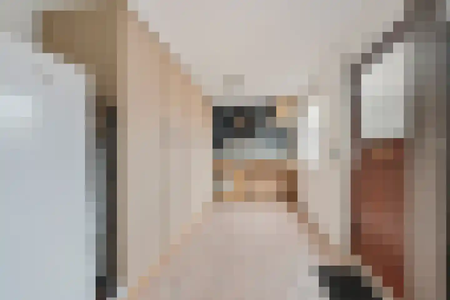 Steenstraat 10 Didam thumbnail 13