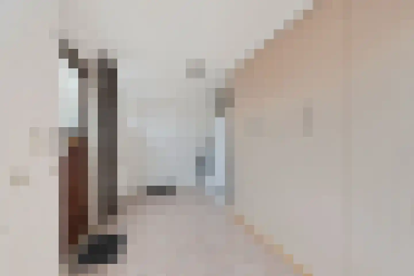 Steenstraat 10 Didam thumbnail 14