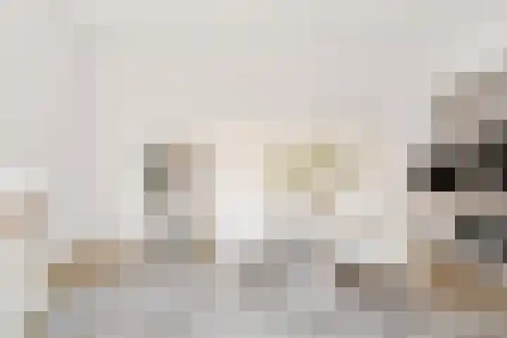 Steenstraat 10 Didam thumbnail 15