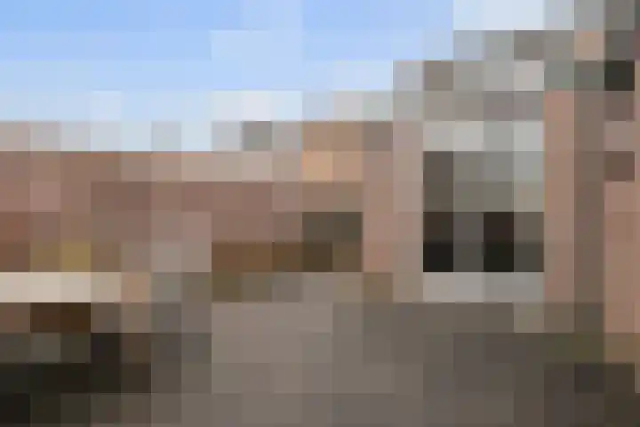 Steenstraat 10 Didam thumbnail 17